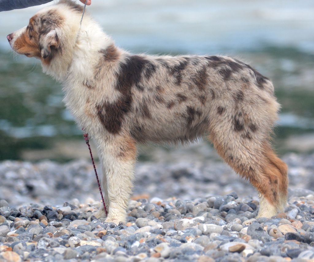 Need more shine In Parigi - 1ere tres prometteur