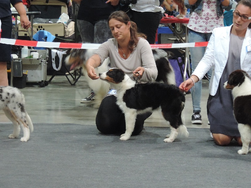 Ibiza In Parigi - Tres prometteur