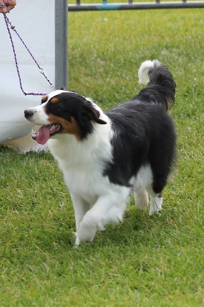 Ibiza In Parigi - 2eme excellent