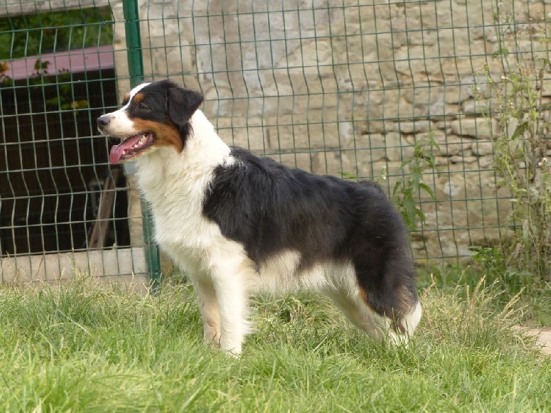 Ibiza In Parigi - tres bon