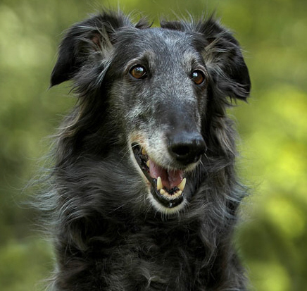 Publication : in the name of love Auteur : Peggy GERARD