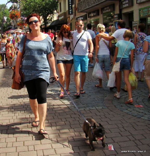 Publication : Z Horowych Bagien