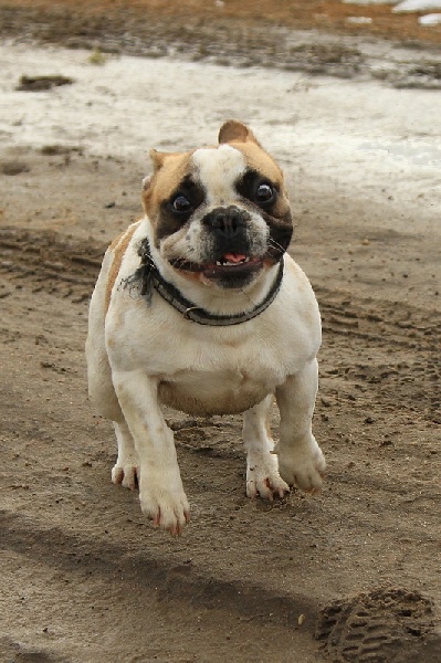 Publication : Z Horowych Bagien