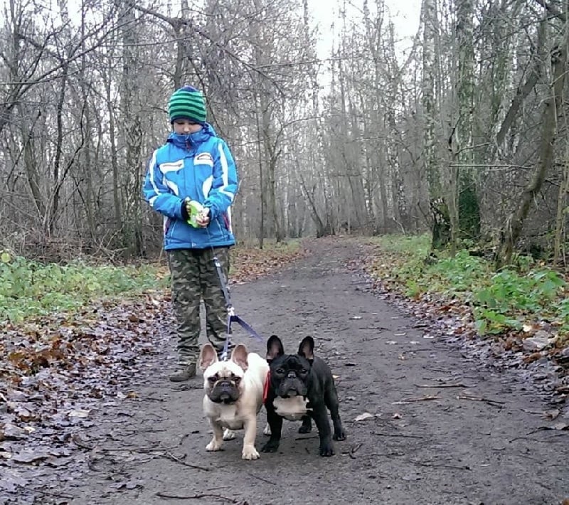 Publication : Z Horowych Bagien