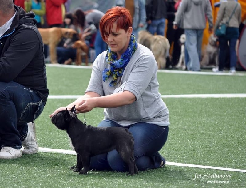 Princess beatrix krecony loczek - très prometteur
