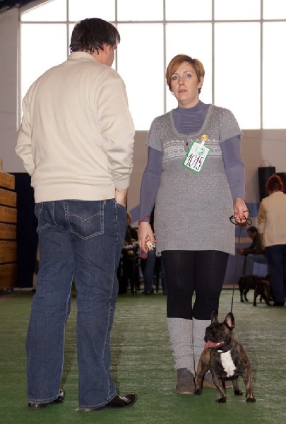 Marcelina Z Horowych Bagien - Classe Jeune - excellent