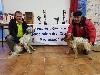 - Clochette d'or et trophée d'Armorique 2018.