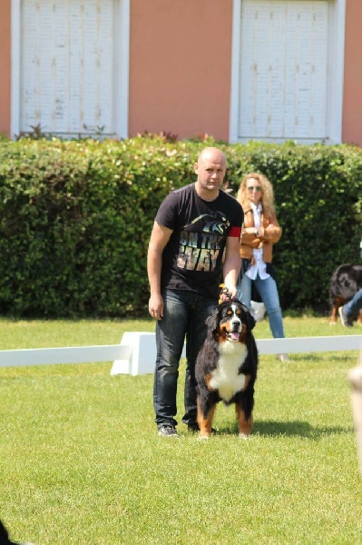 Ira del rey de asturias Du Hameau De Baika - 4 ème Excellent / 27