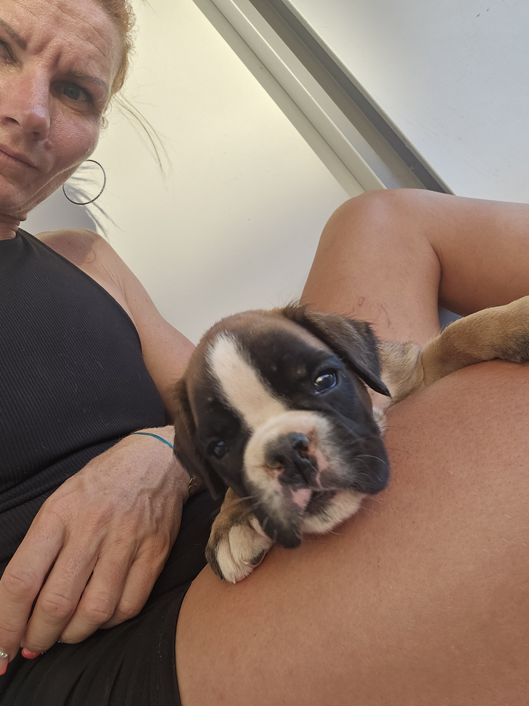 Fem fauve symphonie - Boxer