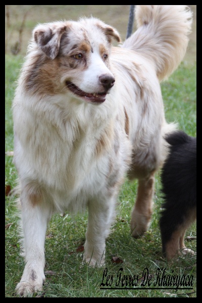 Sr daika des falaises d etretat