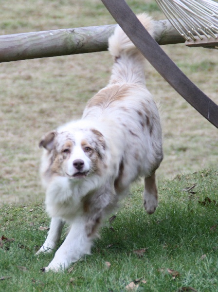 Sr daika des falaises d etretat