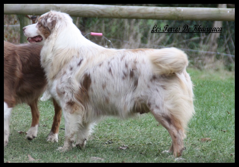 Sr daika des falaises d etretat