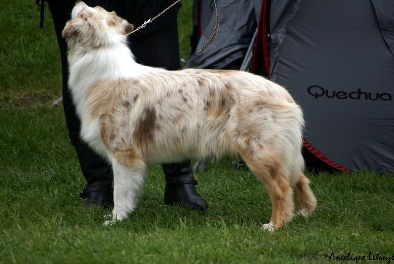 Sr daika des falaises d etretat - excellent