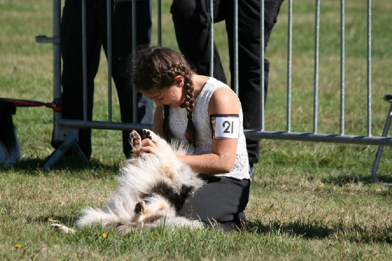 Love me darling Des Bergers Du Landas - CJF - EXC NC