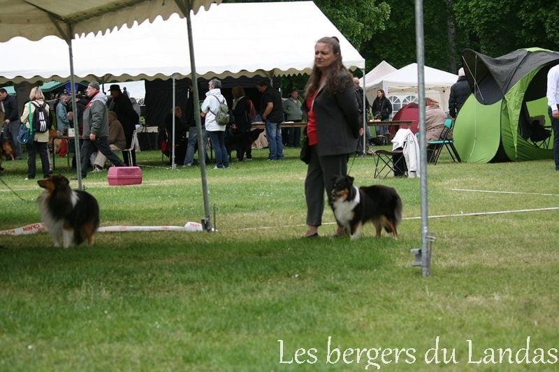 Gillian Des Bergers Du Landas - COF - 1ere EXC - CACS