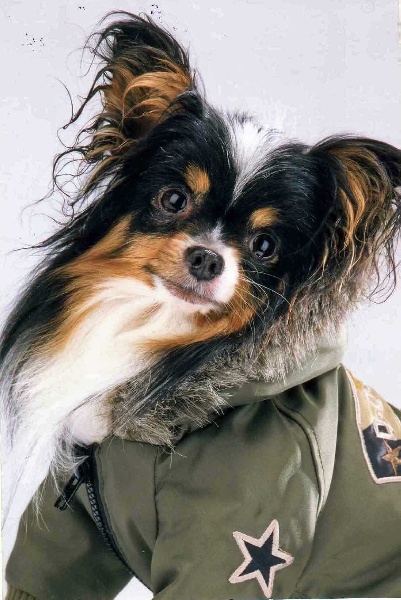 Rimsky Des peluches de la coulee verte