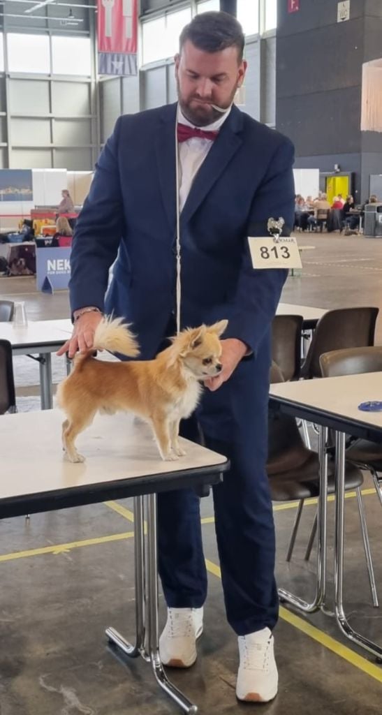 CH. legado de lagos Abu dhabi