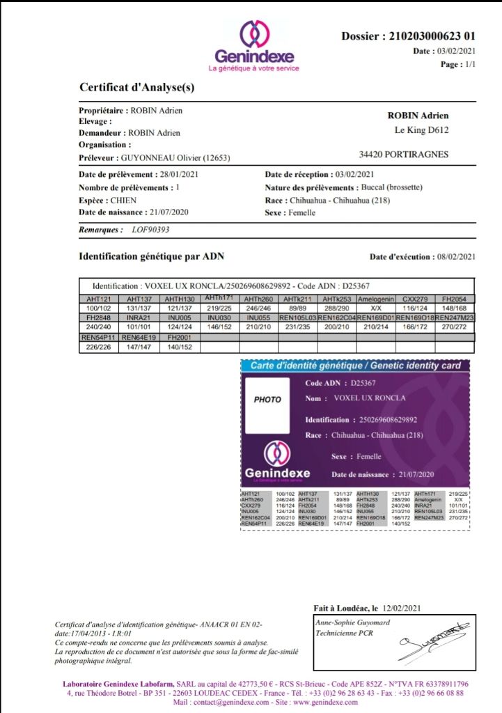 Publication : De L'empire De Ganesh