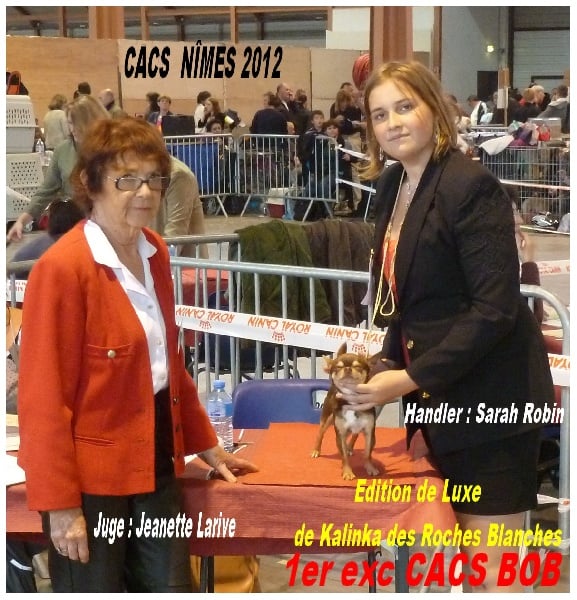 Publication : De L'empire De Ganesh Auteur : Robin adrien