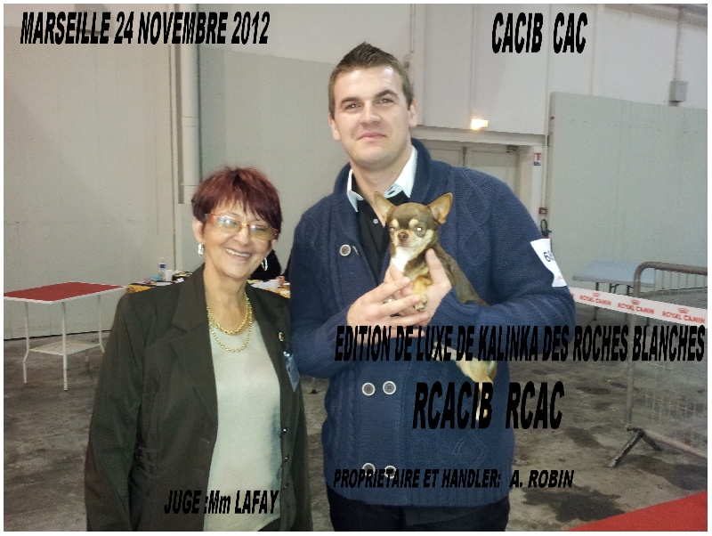 Publication : De L'empire De Ganesh Auteur : Robin adrien