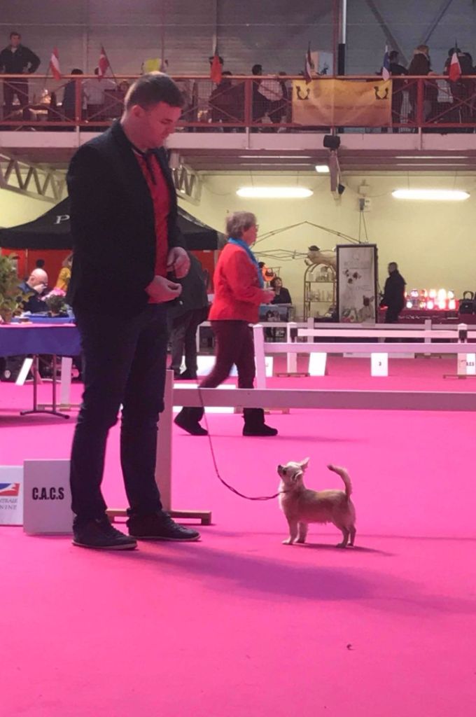 Publication : De L'empire De Ganesh Auteur : Adrien robin