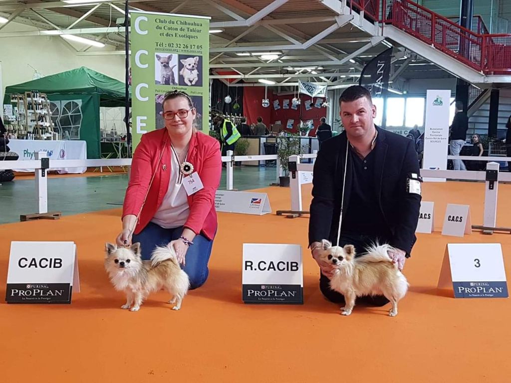 Publication : De L'empire De Ganesh Auteur : Adrien robin