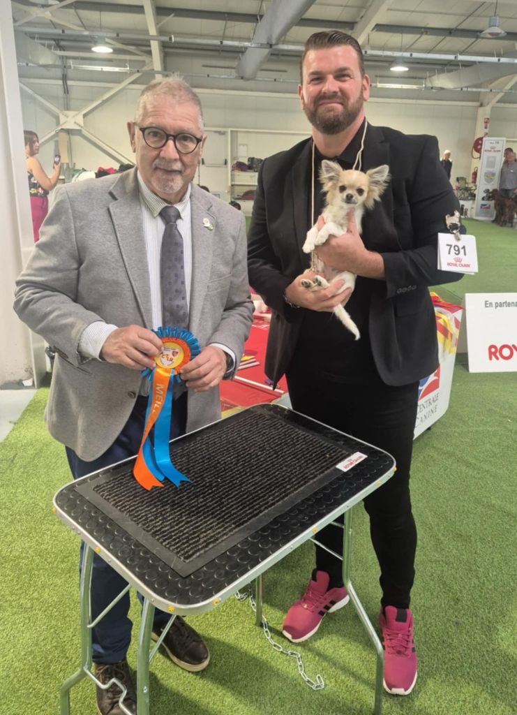 Alibaba De L'empire De Ganesh