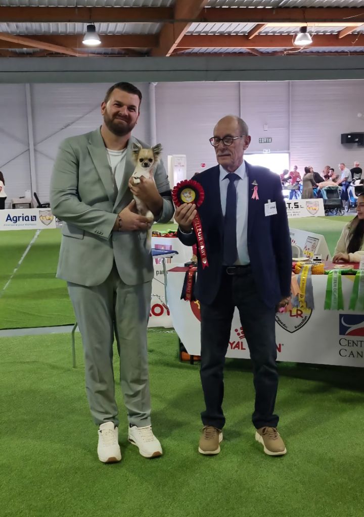 Alibaba De L'empire De Ganesh