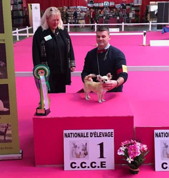 Publication : De L'empire De Ganesh Auteur : Adrien robin