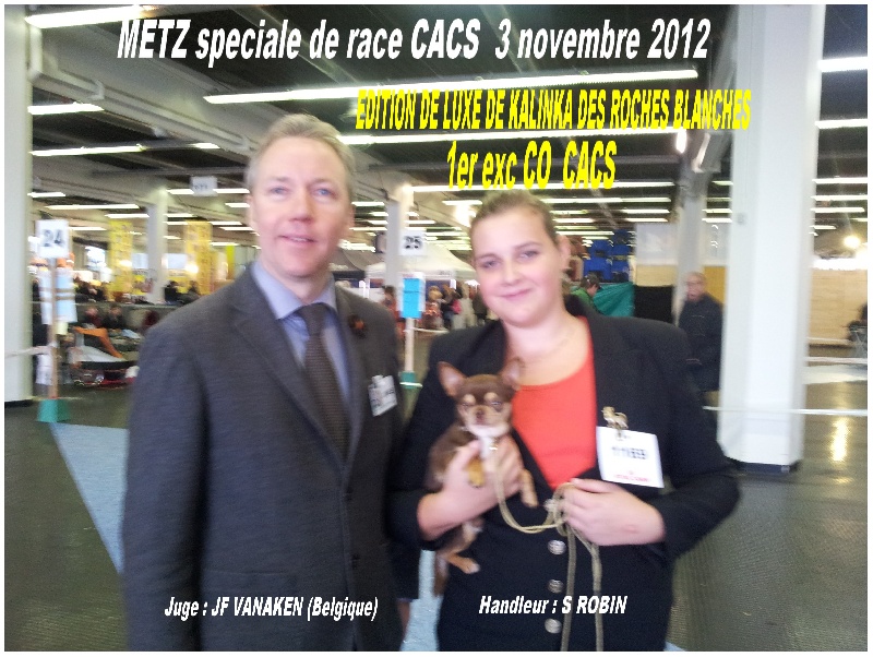 Publication : De L'empire De Ganesh Auteur : Robin adrien