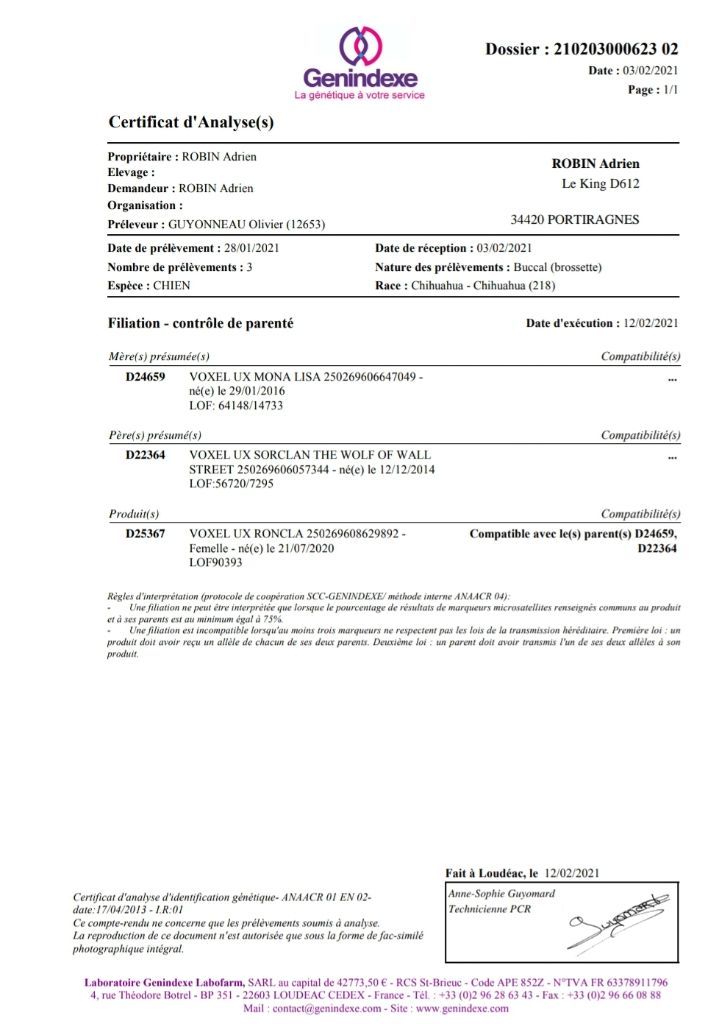 Publication : De L'empire De Ganesh