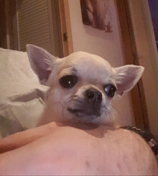 Publication : De L'empire De Ganesh