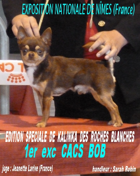 Publication : De L'empire De Ganesh Auteur : Robin adrien