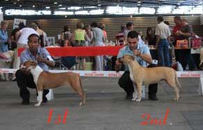 all think twice kennel Enjoy - 2 tres prometteur