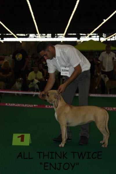 all think twice kennel Enjoy - 1 st place