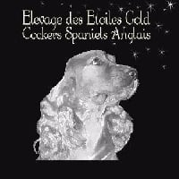 Des Etoiles Gold