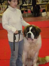 Eliott de la Terre Promise - 2 ème Très bon