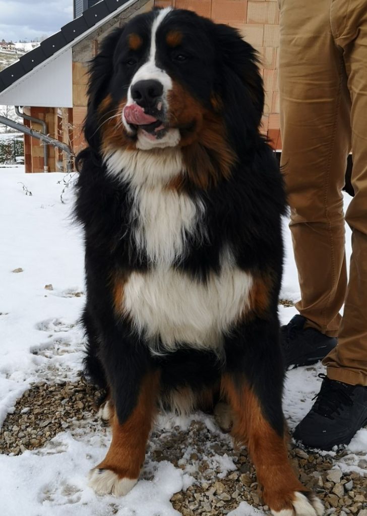 Publication : du pays Maîchois