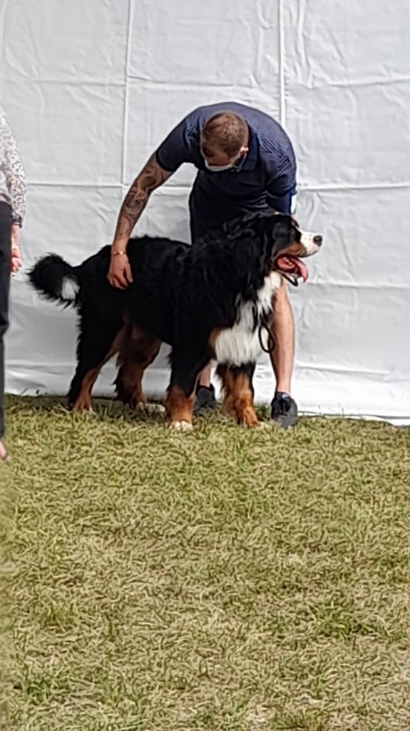 Publication : du pays Maîchois