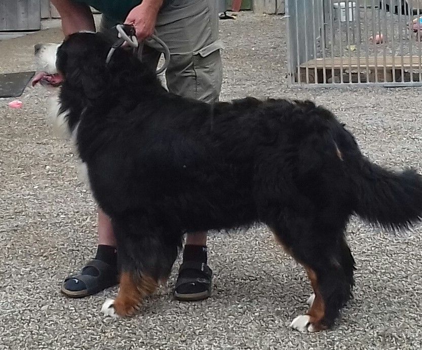 Publication : du pays Maîchois