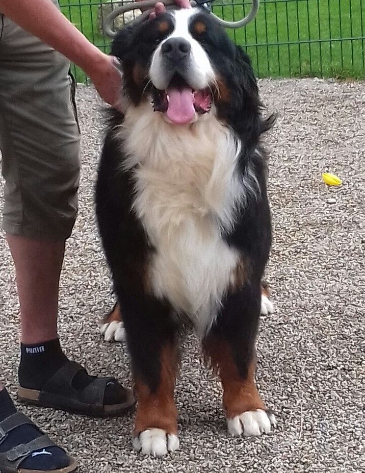 Publication : du pays Maîchois