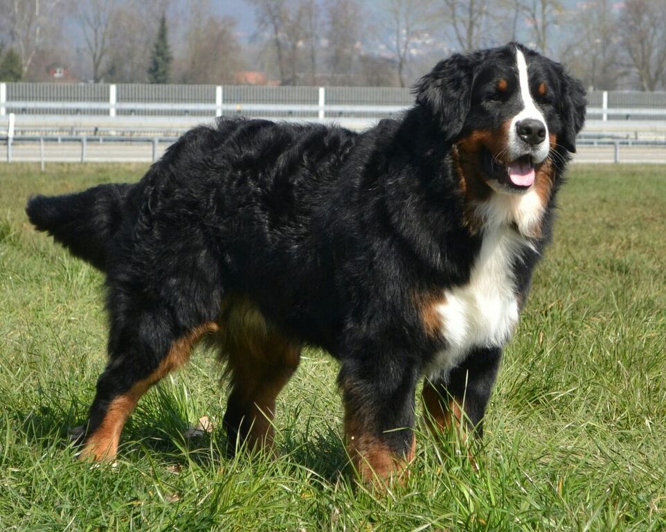 Publication : du pays Maîchois