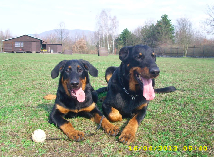 Havel yzar De La Bonhardiesse