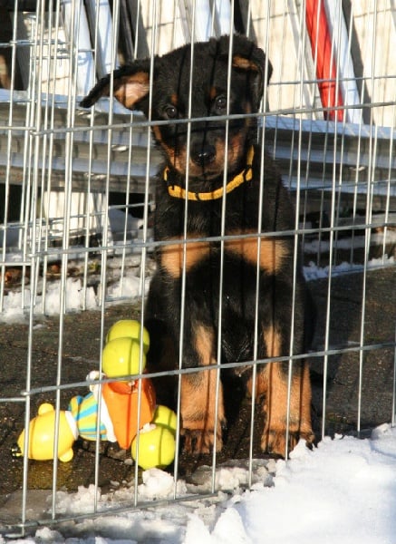 Flirthe yloïse De La Bonhardiesse