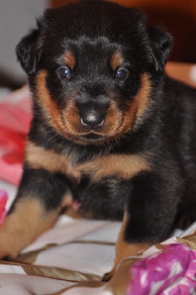 Flirthe yloïse De La Bonhardiesse