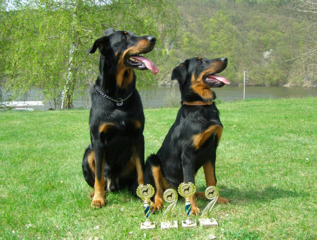 Havel yzar De La Bonhardiesse