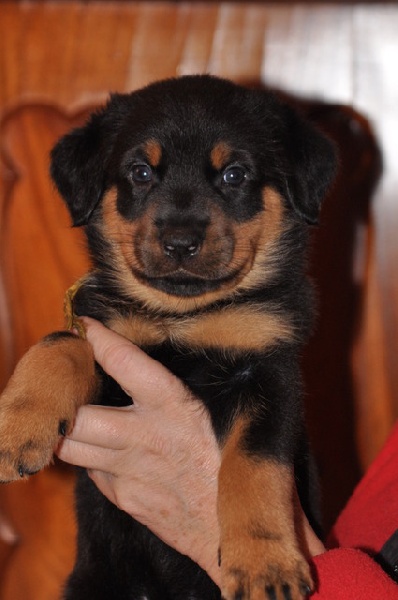 Flirthe yloïse De La Bonhardiesse