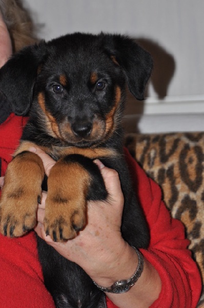 Flirthe yloïse De La Bonhardiesse