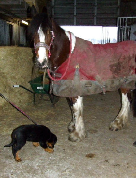 HIRGON YVAIN dit Homme