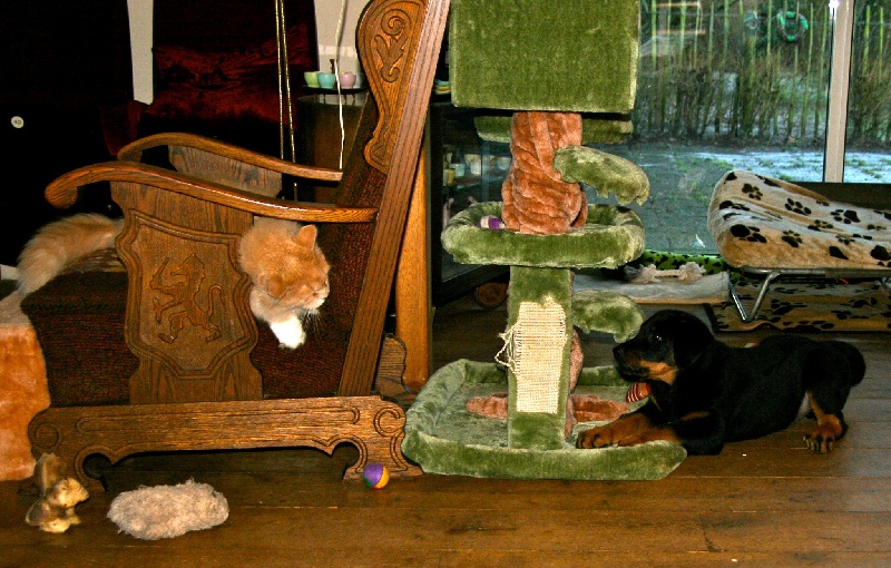 HIRGON YVAIN dit Homme